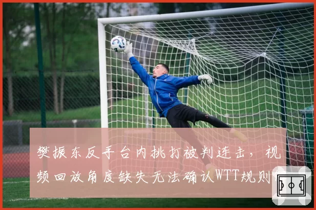 樊振东反手台内挑打被判连击,视频回放角度缺失无法确认WTT规则解释遭球迷质疑