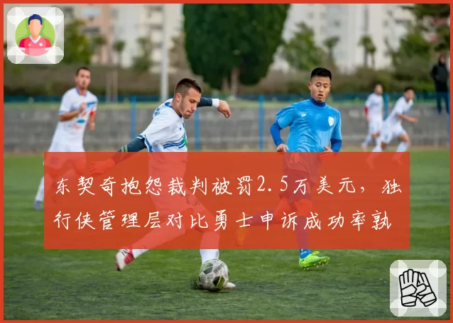 东契奇抱怨裁判被罚2.5万美元，独行侠管理层对比勇士申诉成功率孰高孰低？