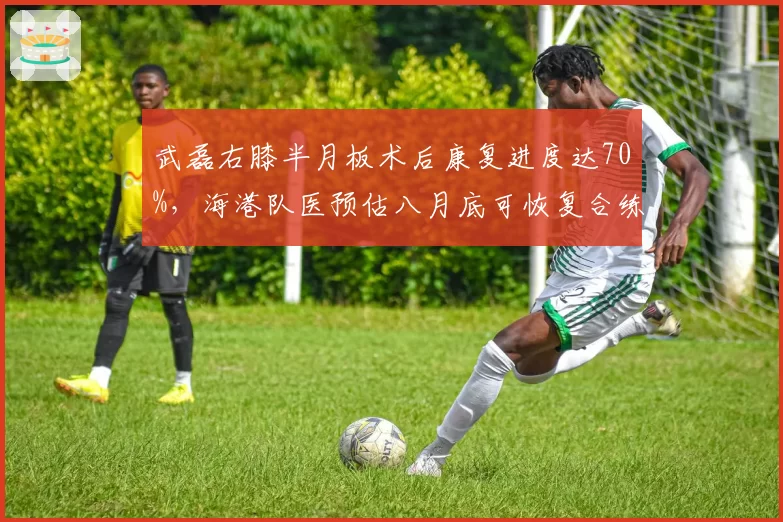 武磊右膝半月板术后康复进度达70%，海港队医预估八月底可恢复合练
